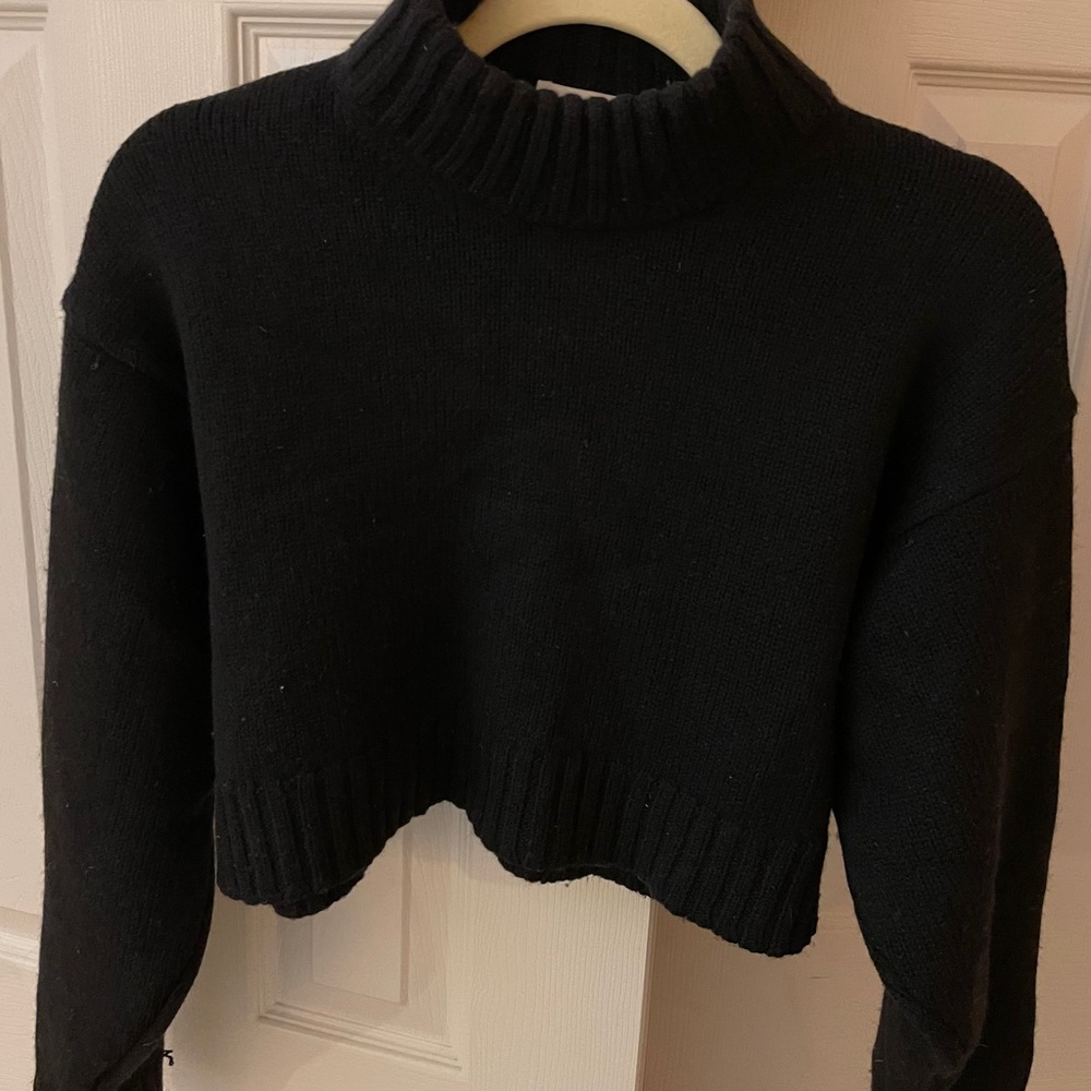 Winston Cropped Mockneck Aritzia Sweater